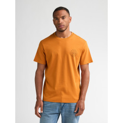 Camiseta Cardeu Calabaza