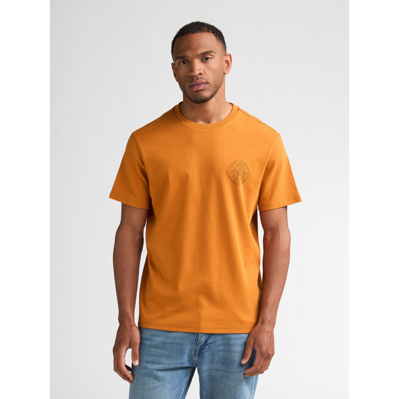 Camiseta Cardeu Calabaza