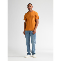 Camiseta Cardeu Calabaza