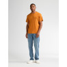 Camiseta Cardeu Calabaza