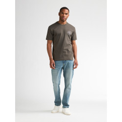 Camiseta Cardeu Gris